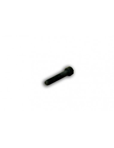 VN30397165 - Vicon Tornillo Abonadora