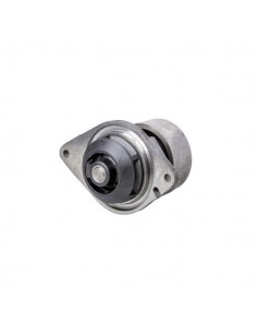 J286278GN - Case IH Bomba Agua Adaptable