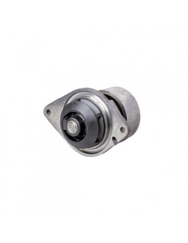 J286278GN - Case IH Bomba Agua Adaptable