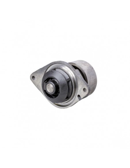 J286278GN - Case IH Bomba Agua Adaptable