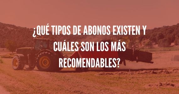 ¿Qué tipos de abonos existen y cuáles son los más recomendables?